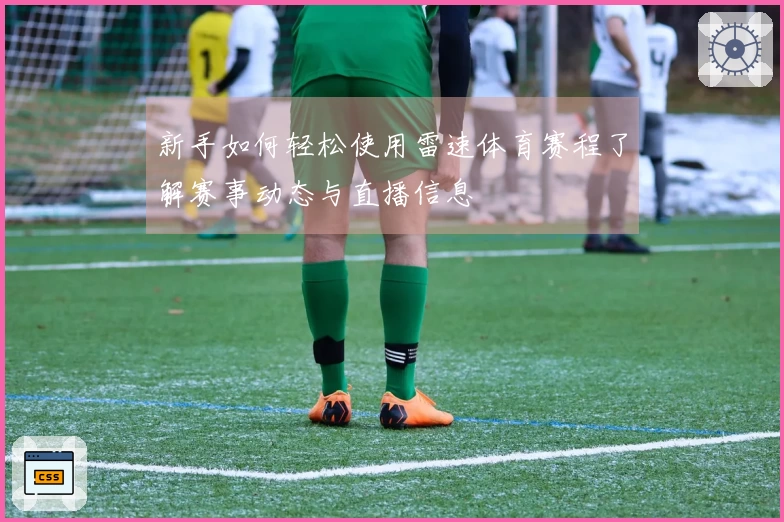 新手如何轻松使用雷速体育赛程了解赛事动态与直播信息