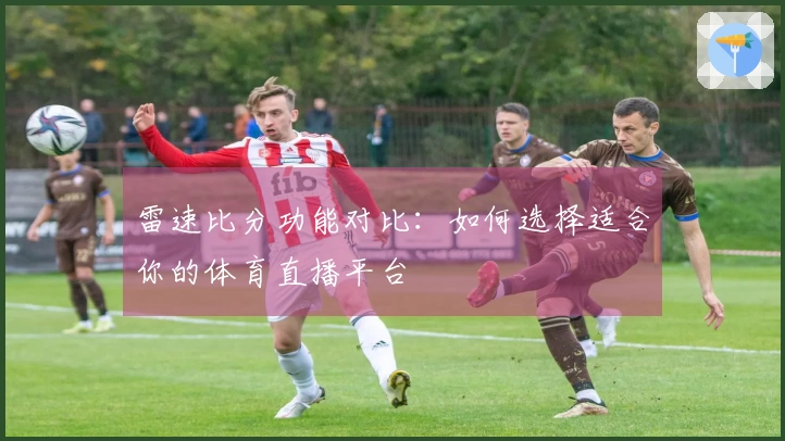 雷速比分功能对比：如何选择适合你的体育直播平台