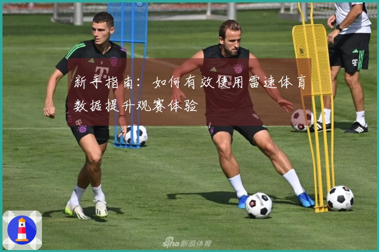 新手指南：如何有效使用雷速体育数据提升观赛体验
