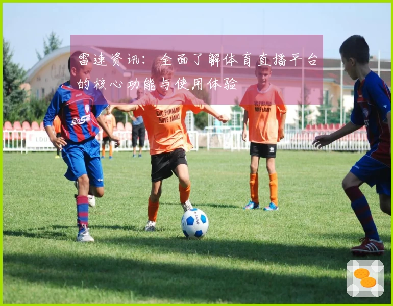 雷速资讯：全面了解体育直播平台的核心功能与使用体验