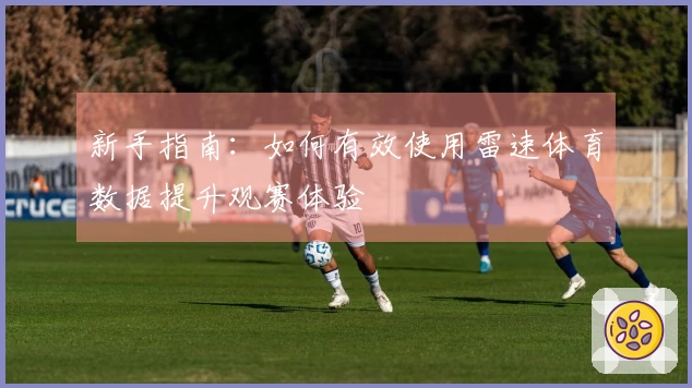 新手指南：如何有效使用雷速体育数据提升观赛体验